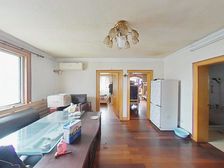 春申 商业配套齐全 商品住宅 超低密度 南北通透 装修好