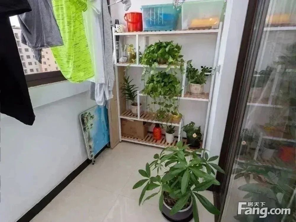 室内图