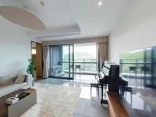 特价房!天鹅湖花园豪装4+1房,业主急卖!