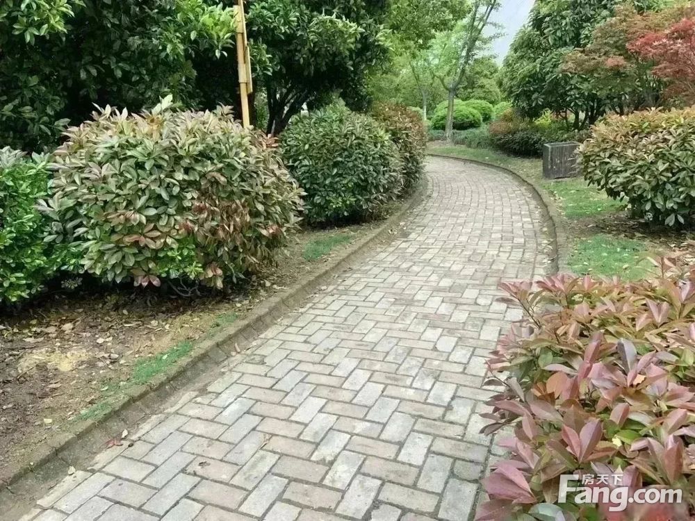 小区相关图