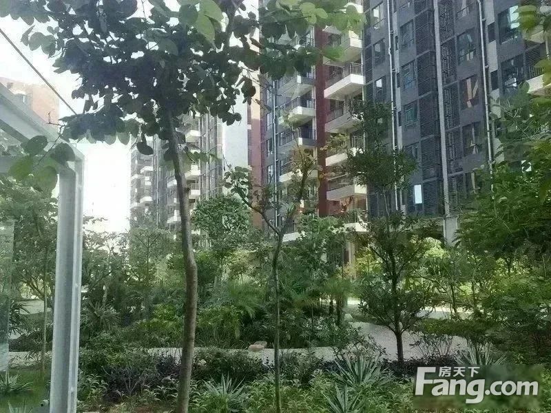 小区相关图