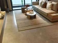 大中阳光壹号 厚街高端楼盘 下楼地铁站 万达广场