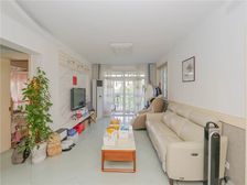 新出中间楼层大三房,户型正气,稀有房源,诚心出售