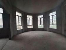 三正半山豪苑独栋别墅 双龙抱珠经典户型 仅有的毛坯湖景别墅