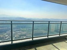 鼎峰源著 满二 正南朝向 小区新 近医院 低密度社区