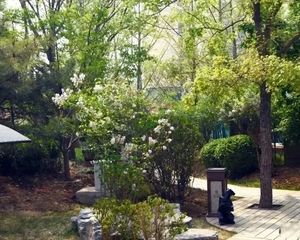 望京北现房精装独栋 即买即住650平 花园300平 看房找我