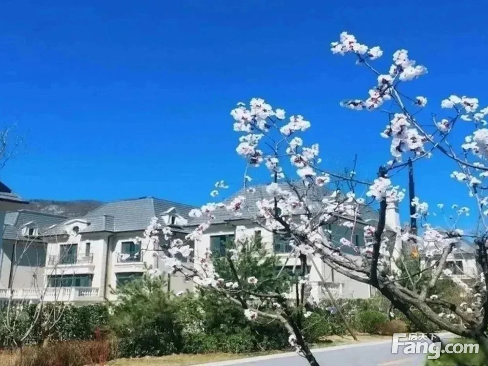小区相关图