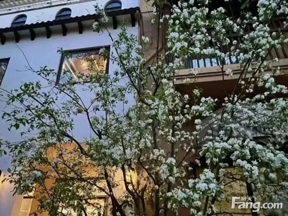 小区相关图