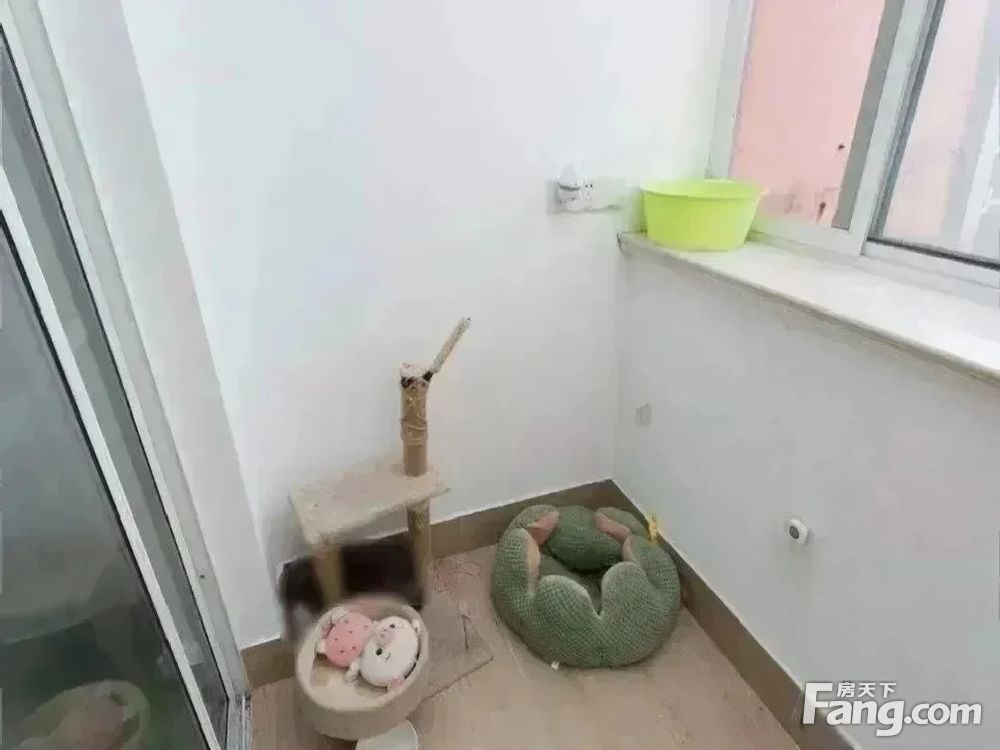 室内图