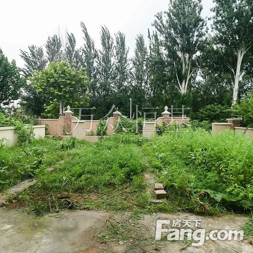  ����ɽ���� ���Ŵ�ͥԺ500�O ������ ��Կ�� ��ʱ�ɿ��� 