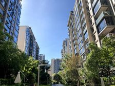 礼嘉天街C位 龙湖昱湖壹号横厅大平层