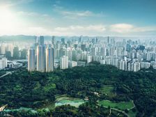 仅三套!江北嘴CBD,现房板式大平层,三轨道,看龙头寺公园