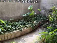 1楼带花园二手房￥零￥中介费全成都资产处置收1%(成功付费)