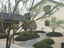 一户一院,格局私人定制!东甫里中式别墅,收藏你的专属江南