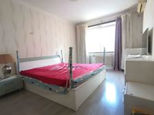 文化西路 体育嘉苑 电梯洋房 三室朝阳 双卫 大客厅 带车位