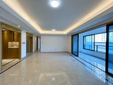 大露台!300平大露台!豪装公园头排大平层!光环旁 双轻轨