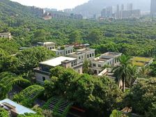 南山区核心地段独栋别墅,急售好房,纯别墅豪宅,稀缺资产