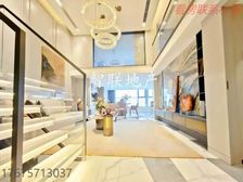 2号线越秀公园站 复式两房 可租5600 业主急卖 来电看房