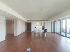 两江交汇 来福士广场 四房 江景豪宅大平层亏本出