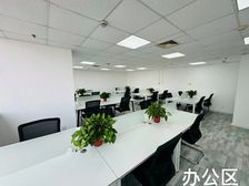 河西丨峰汇广场丨260平米精装修丨另有全市各种面积丨出租