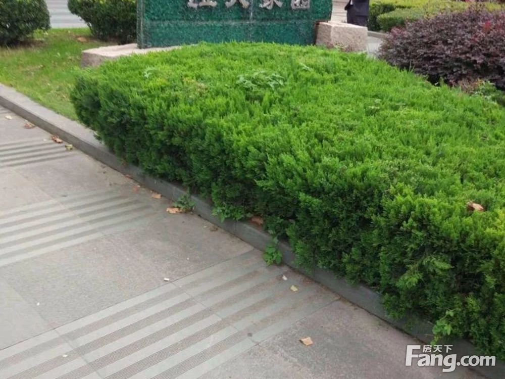 小区相关图