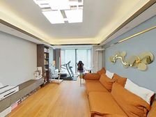 三轨交汇 50万方在在建TOD 飞机户型,带40平露台