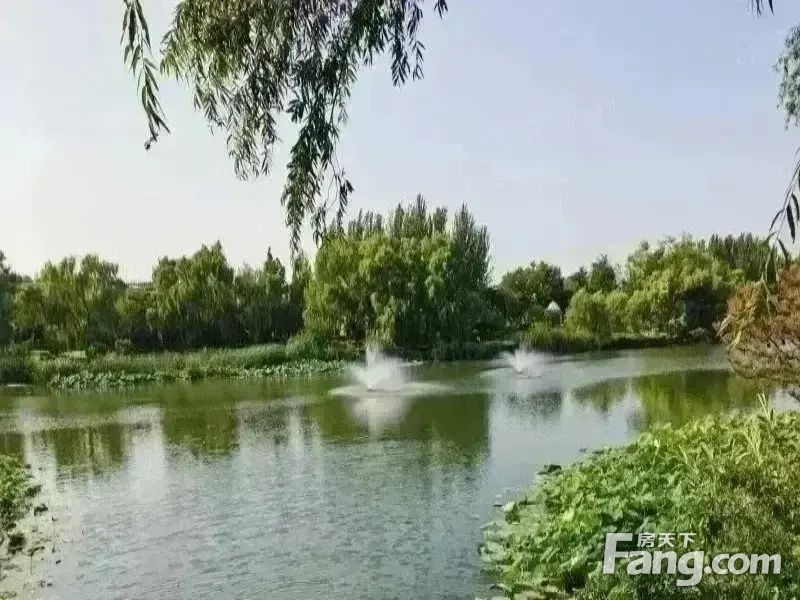 室内图
