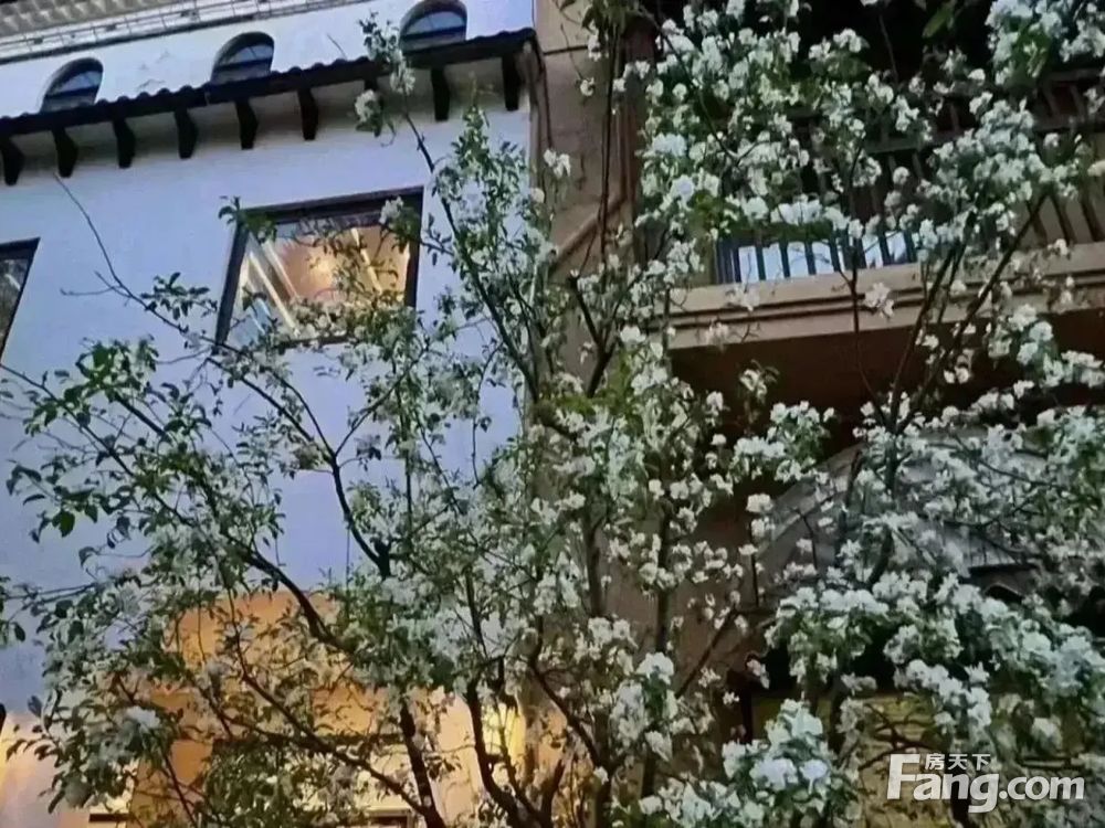 室内图