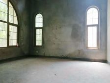 坡岭顿小镇 4室3厅3卫 毛坯 350万元