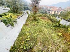 新上 南山高端别墅 林语堂中式合院 带300平 花园视野开阔