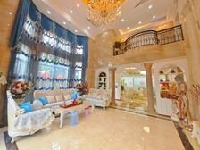 豪华装修的小独栋大花园 业主置换出售 满五 税 低