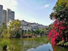 新上|实用1000平 水榭花都临湖别墅 带私家码头 垂钓自由