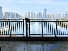 新出必卖好房,业主诚意出售,一线湖景视野非常好!