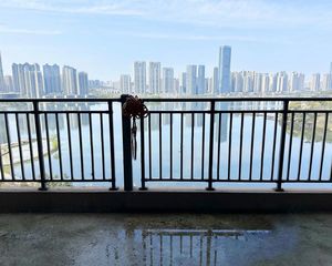 新出必卖好房,业主诚意出售,一线湖景视野非常好!