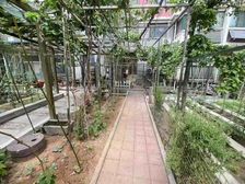 一楼带80平小院,堤口路,金阳光花园,电梯小高层,随时看房