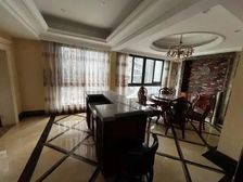 新上急售!227颗!带走精装修顶跃洋房住宅看江房可按揭免个税