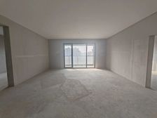 东城天花板 望度山月,急售110万户 单价7850证到