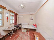 开窗绿树成荫 可免费提供装修方案 特别材质的小洋楼 全明三房