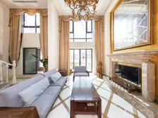 价格可谈,电梯顶层别墅,带空中花园120平,6.5m挑高大厅