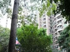 白云金桂园2房 中间楼层 证满五年 16x拿下 中楼层看花园