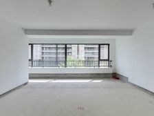 中建星光城市 4室2厅 171平