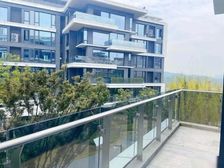 抵款房!江湾品质天花板定制黑金物业,悦来临江高端平层