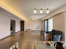 九龙湖 次新小区 电梯房 近地铁 满二 精装修 中间楼层