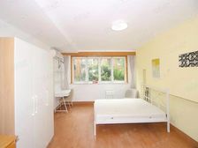 一梯一户,少有内环内 3房2卫 双轨交通,房东12万分诚意