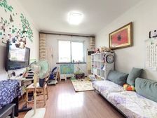 兴海家园星苑 南北通透南客厅 全天采光 满五税少 首付不高