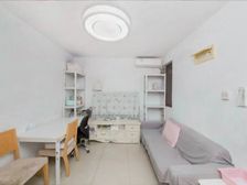 雪曲未永玉兰三房4开头两房3开头一房2开头真实有限不欺不骗