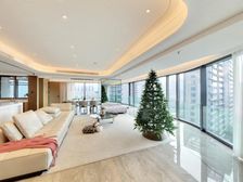 新希望D10天府 4室2厅 东南