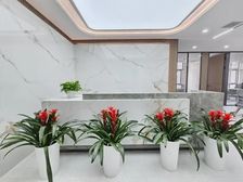 后湖大道丨年后起租丨铁狮科创中心丨212平丨30含税带家具丨