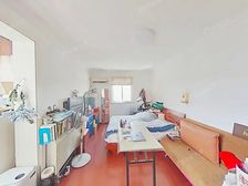 真光新村第五小区 1室1厅1卫 精装修 169万元