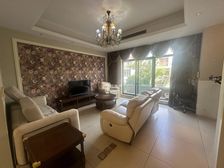 三林南 纯别墅社区 联排边套别墅 带地下室 带露台 送车库